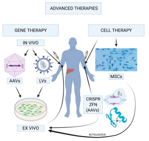 Hemophilia Gene Therapy: A Breakthrough in Care