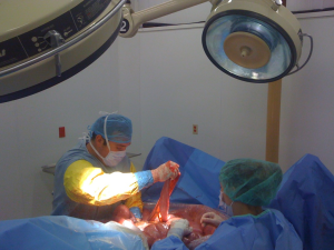 CALEC Surgery: A New Hope for Eye Damage Recovery