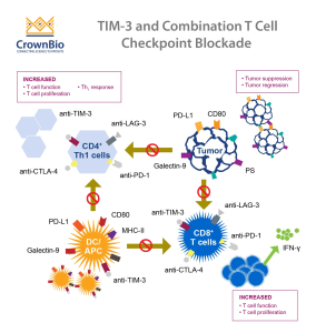 TIM-3 Alzheimer’s Treatment: A New Hope for Patients