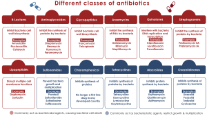 New Class of Antibiotics to Combat Drug Resistance