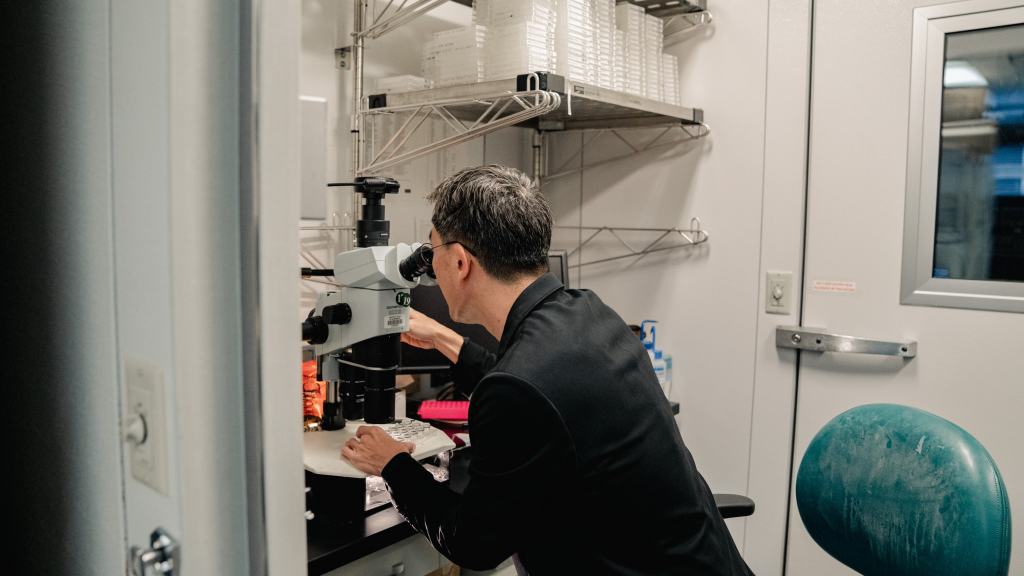 Medical Research Funding Cuts Disrupt Patient Safety Efforts