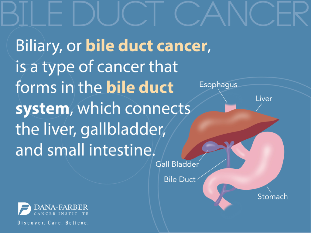 Bile Imbalance Linked to Liver Cancer: Key Study Insights
