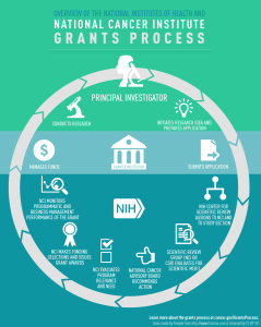 Federal Grants for Health Research: Securing Funding Success